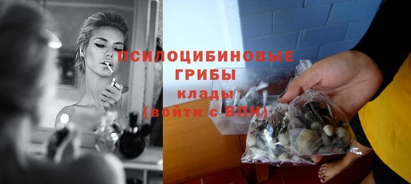 тгк Абаза