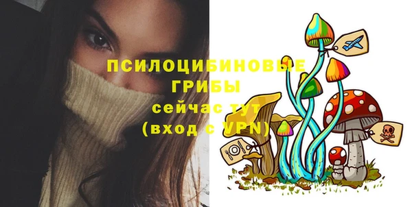 тгк Абаза