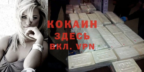 тгк Абаза